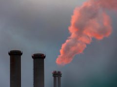 Dinas Damkar Kabupaten Pasuruan Amankan Kebocoran di Pasar