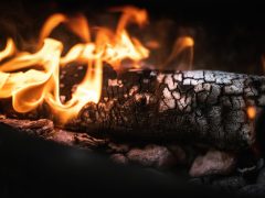 Respon Cepat di Kebun Warga